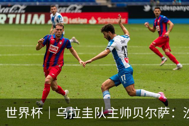 世界杯｜乌拉圭队主帅贝尔萨：沙特队不是“软柿子”