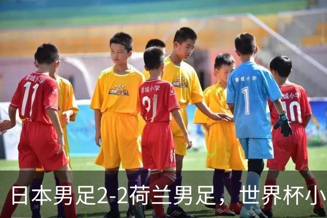 日本男足2-2荷兰男足，世界杯小组赛各得1分，惊心动魄的逆转