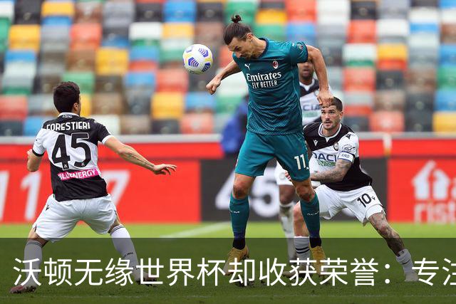 沃顿无缘世界杯却收获荣誉：专注水晶宫的未来与梦想